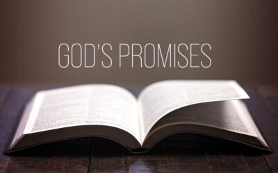 When We Fail, God Keeps His Promise